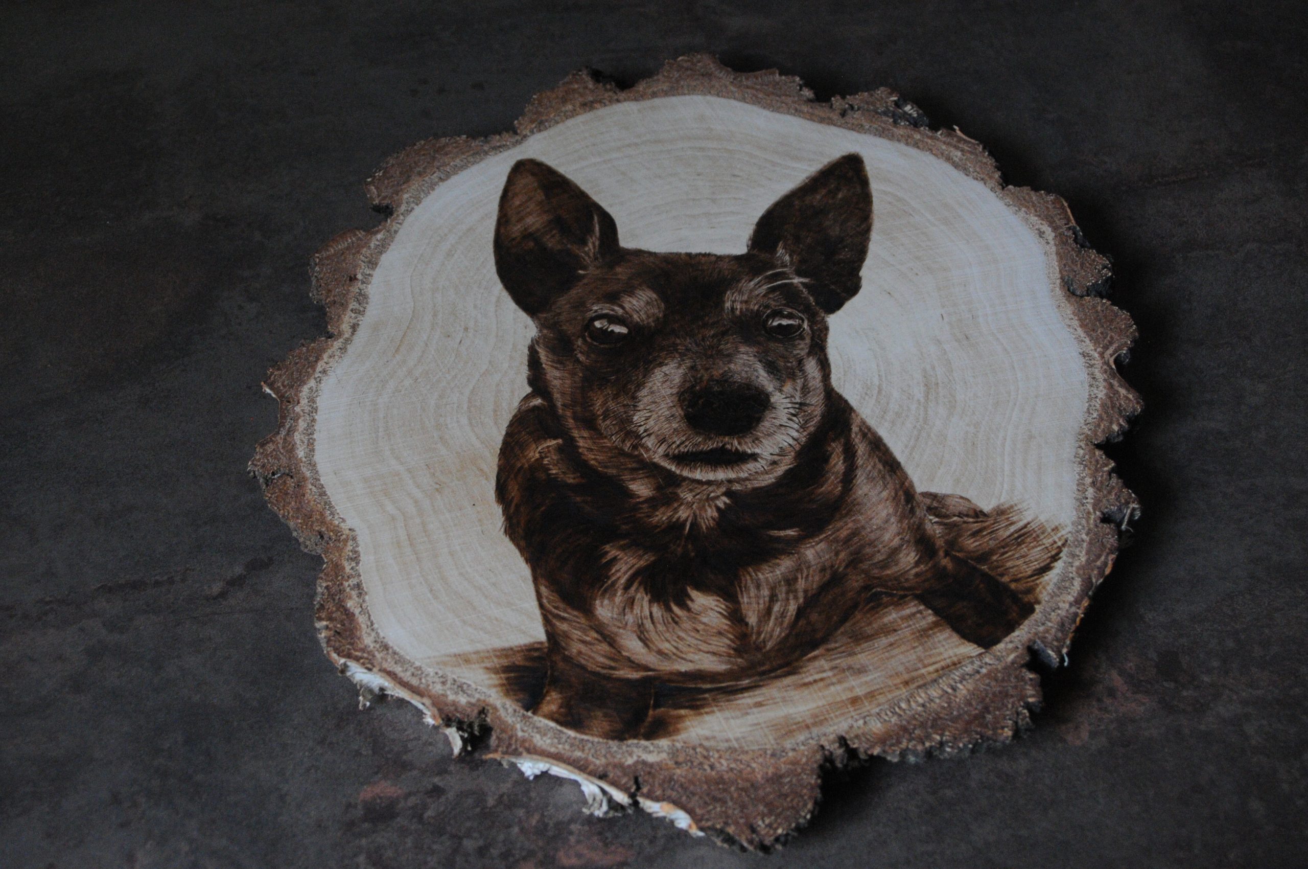 wypalanie w drewnie, sylwia, pirografia, janczyszyn, pyrography, handmade, rękodzieło, pomysł na prezent, portret psa,