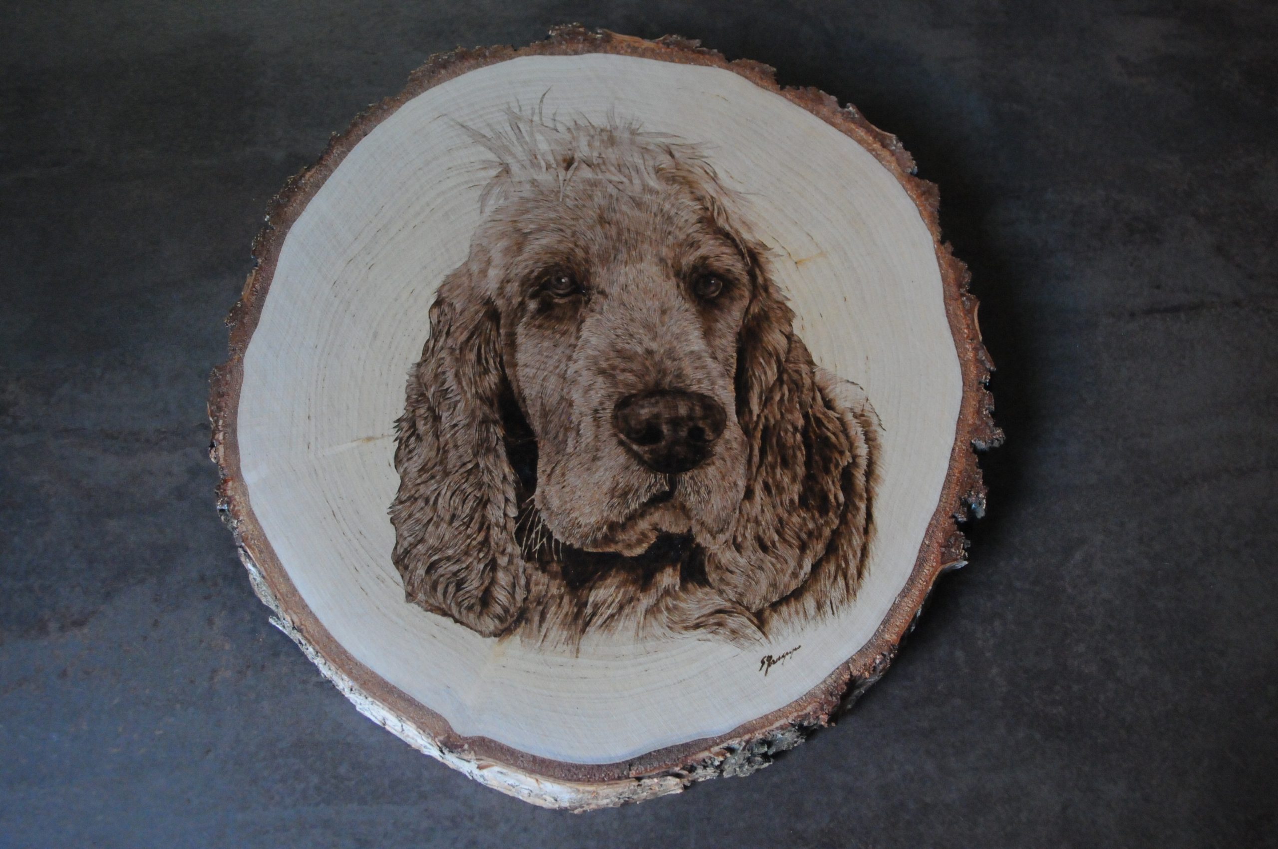 wypalanie w drewnie, sylwia, pirografia, janczyszyn, pyrography, handmade, rękodzieło, pomysł na prezent, portret psa